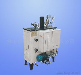 供应洗衣设备 全自动燃汽蒸汽锅炉 整熨洗涤设备价格 厂家 图片